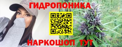 крисы Рязань