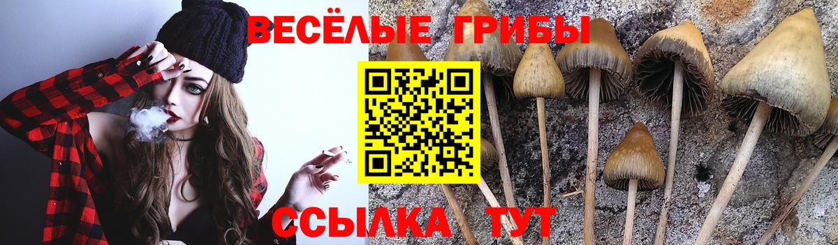 Пыть-Ях  Псилоцибиновые грибы GOLDEN TEACHER  где можно купить   Вход с VPN 